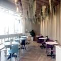 Cafe Aster - Gardens by the Bay | Product Seen: [Claudia Side Chair, Troy Side Chair, Robess Side chair & Customised laminated tabletop + FLAT® KX22 – H720 (For Dining Table)]